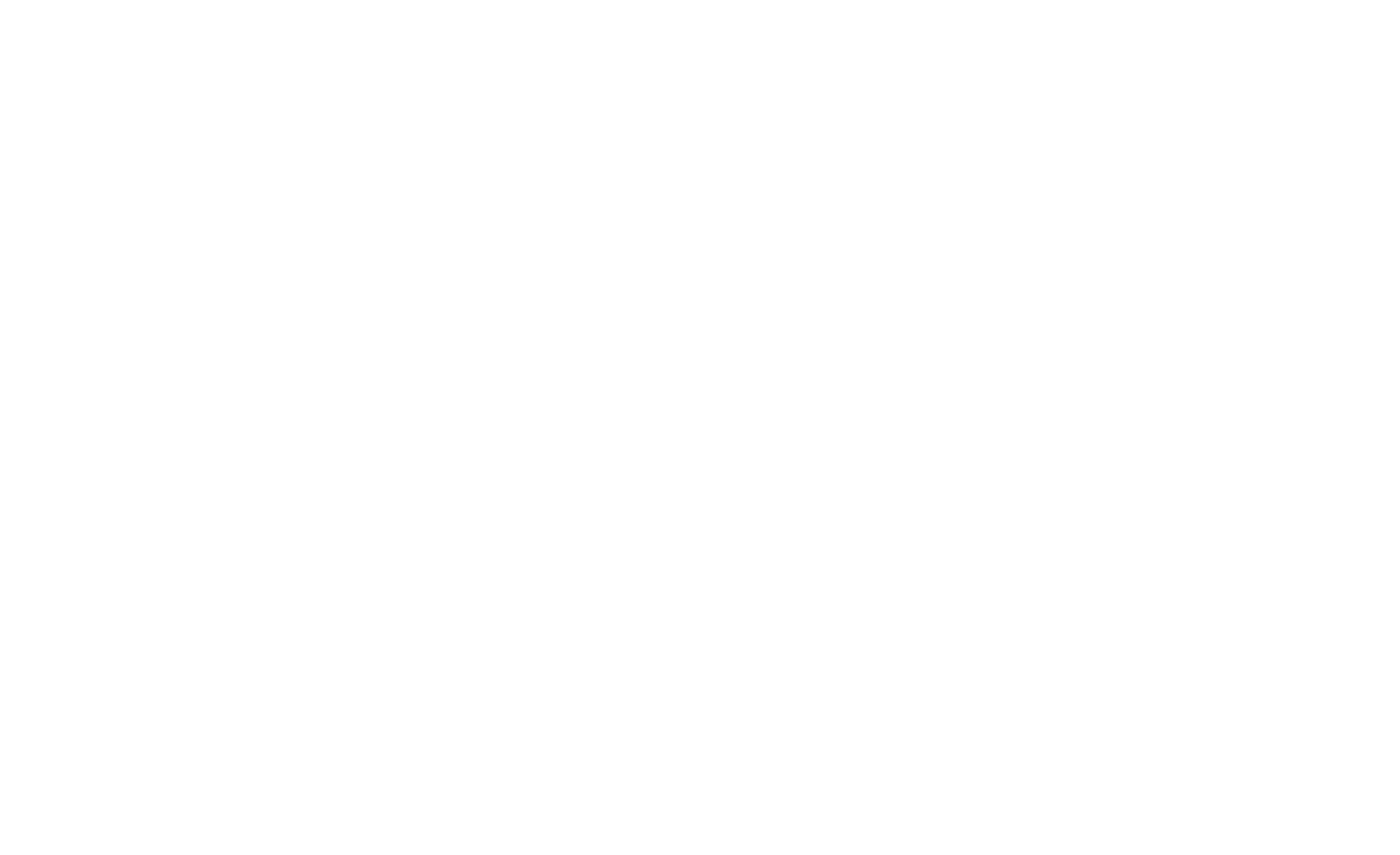 IWZ Consulting
